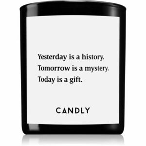 Candly & Co. Yesterday is a history vonná svíčka 250 g obraz