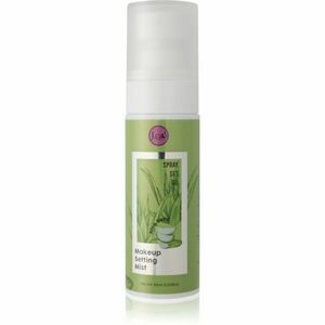 J.Cat Beauty Spray Set Go fixační sprej na make-up s aloe vera 60 ml obraz