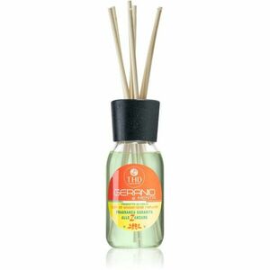 THD Home Fragrances Geranio e Menta aroma difuzér s náplní 100 ml obraz
