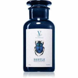 Vila Hermanos Talisman Beetle vonná svíčka 500 g obraz