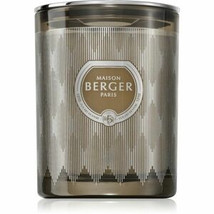 Maison Berger Paris Evanescence Mystic Leather Grey vonná svíčka 240 g obraz