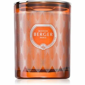 Maison Berger Paris Evanescence Mystic Leather Fawn vonná svíčka 240 g obraz