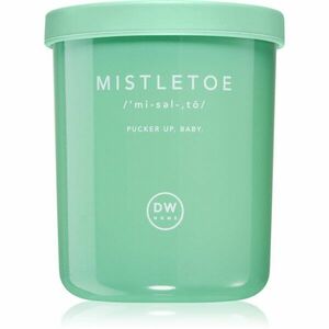 DW Home Definitions Mistletoe vonná svíčka 108 g obraz