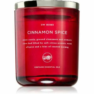 DW Home Dala Cinnamon Spice vonná svíčka 244 g obraz