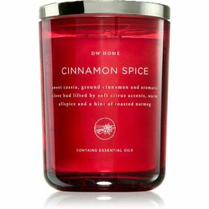 DW Home Dala Cinnamon Spice vonná svíčka 434 g obraz