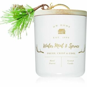 DW Home Farmhouse Winter Mint & Spruce vonná svíčka 244 g obraz