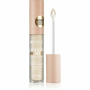 AA Wings of Color Gentle Nude Concealer tekutý korektor odstín 400 Nude 6.2 g obraz