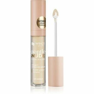 AA Wings of Color Gentle Nude Concealer tekutý korektor odstín 401 Vanilla 6.2 g obraz
