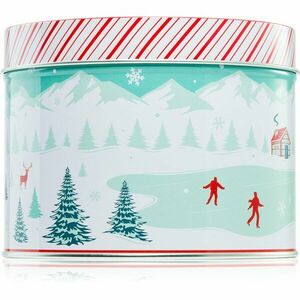 DW Home Scene & Stripes Cinnamon Gum Drops vonná svíčka 833 g obraz