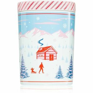 DW Home Scene & Stripes Peppermint Bark vonná svíčka 431 g obraz