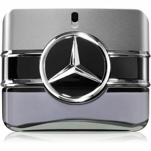 Mercedes-Benz Sign Your Attitude toaletní voda pro muže 100 ml obraz