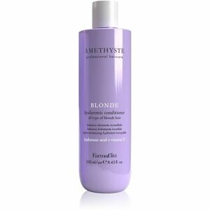 FarmaVita Amethyste Blonde fialový kondicionér pro blond vlasy 250 ml obraz