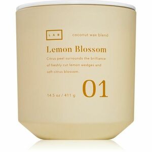 DW Home Lab Lemon Blossom vonná svíčka 411 g obraz