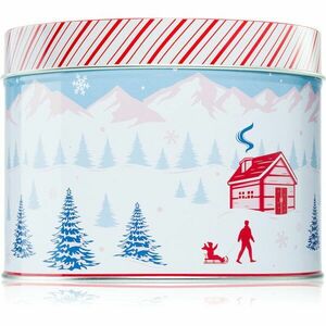 DW Home Scene & Stripes Peppermint Bark vonná svíčka 833 g obraz