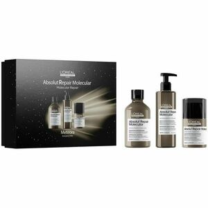 L’Oréal Professionnel Serie Expert Absolut Repair Molecular dárková sada pro poškozené vlasy obraz