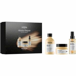 L’Oréal Professionnel Serie Expert Absolut Repair dárková sada pro suché a poškozené vlasy obraz