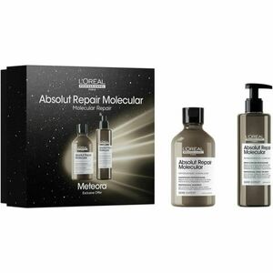 L’Oréal Professionnel Serie Expert Absolut Repair Molecular dárková sada pro poškozené vlasy obraz
