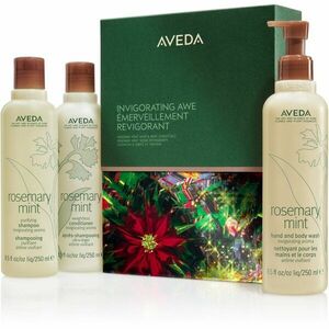 Aveda Holiday Invigorating Awe Rosemary Mint Hair & Body Essentials vánoční dárková sada na vlasy obraz