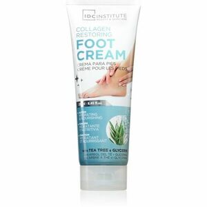 IDC Institute Foot Cream krém na nohy 250 ml obraz