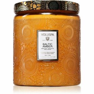 VOLUSPA Japonica Baltic Amber vonná svíčka 1.25 kg obraz