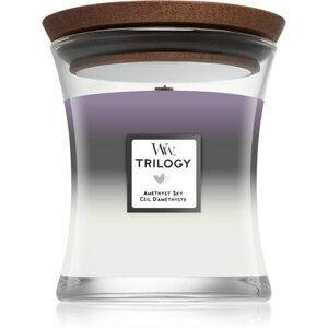 Woodwick Trilogy Amethyst Sky vonná svíčka s dřevěným knotem 275 g obraz