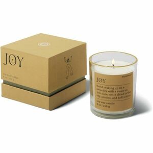 Paddywax Mood Joy Misted Lime vonná svíčka 226 g obraz