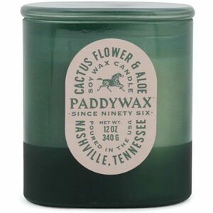 Paddywax Vista Cactus Flower & Aloe vonná svíčka 340 g obraz
