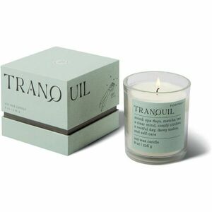 Paddywax Mood Tranquil Lush Palms vonná svíčka 226 g obraz