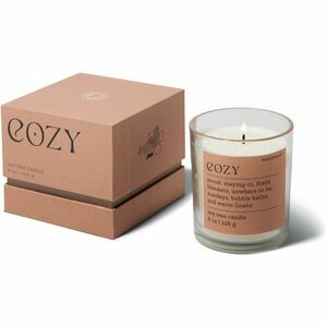 Paddywax Mood Cozy Cashmere & French Orris vonná svíčka 226 g obraz