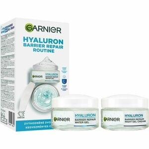 Garnier Hyaluron denní hydratační krém s gelovou texturou obraz