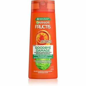 Garnier Fructis Goodbye Damage posilující šampon pro poškozené vlasy 250 ml obraz