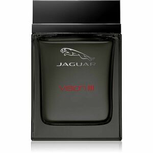 Jaguar Vision III toaletní voda pro muže 100 ml obraz