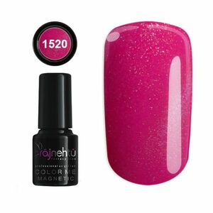 Ráj nehtů UV gel lak Color Me Magnetic 6g - č.1520 obraz