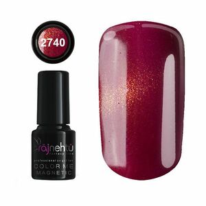 Ráj nehtů UV gel lak Color Me Magnetic 6g - č.2740 obraz