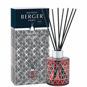 Maison Berger Paris Aroma difuzér Geode Land of Spices červený 115 ml obraz