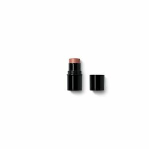 Dr. Hauschka Multifunkční tyčinka (Lip to Cheek) 6, 1 g 01 Apricot obraz