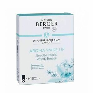 Maison Berger Paris Náplň do elektrického difuzéru Night and Day Aroma Wake-up Woody Breeze 1 ks obraz