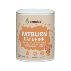Blendea Fatburn Day Drink 100 g obraz