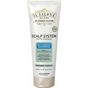 Alfaparf Milano Šampon proti lupům Scalp System (Purify Shampoo) 250 ml obraz