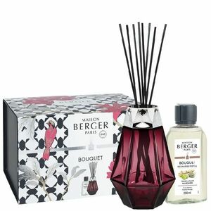 Maison Berger Paris Dárková sada tyčinkový difuzér Prisme granátový + náplň Wilderness 200 ml obraz