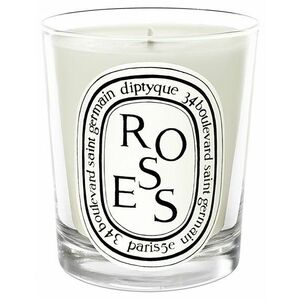 Diptyque Roses - svíčka 190 g obraz