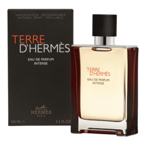 Hermes Terre D`Hermès Intense - EDP (plnitelná) 100 ml obraz