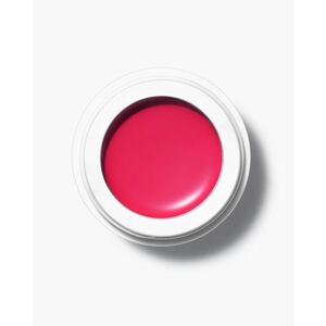 (M)ANASI 7 Přírodní multilíčidlo Beauty Evolution All Over Colour (Multi-Use Organic Cream Colour) 5 g Fuchsine obraz