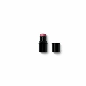 Dr. Hauschka Multifunkční tyčinka (Lip to Cheek) 6, 1 g 03 Rosewood obraz