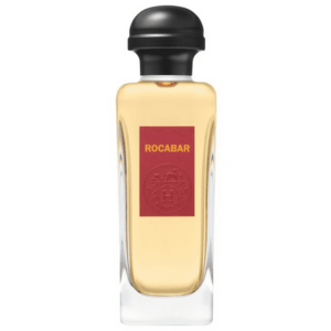 Hermes Rocabar - EDT 100 ml obraz