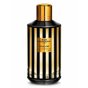 Mancera Aoud Line - EDP 120 ml obraz