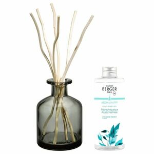Maison Berger Paris Dárková sada Aroma Happy difuzér šedý + náplň Aquatic Freshness 180 ml obraz