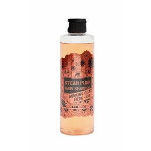 Pan Drwal Steam Punk Hero šampon na vlasy pro muže 250 ml obraz