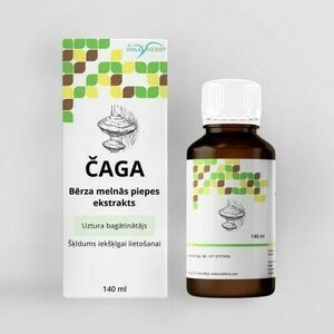 Befungin extrakt z čagy - 140ml - HealthNA obraz