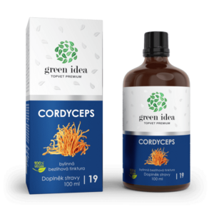 Cordyceps - bezlihová tinktura 100 ml - Green idea obraz